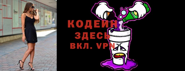 молекула духа Карпинск