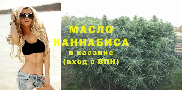 молекула духа Карпинск