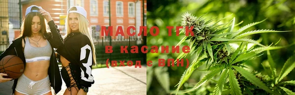 молекула духа Карпинск