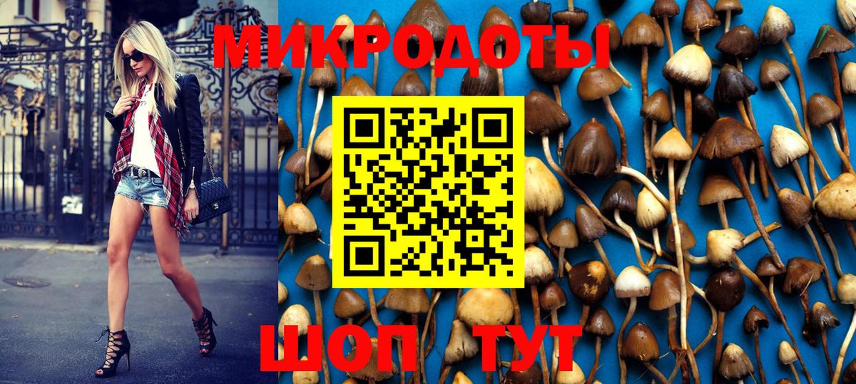 Лениногорск  Псилоцибиновые грибы Psilocybe  Вход с VPN 